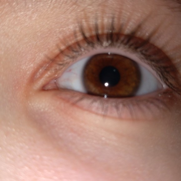 Meet your Posher, Cecil - Picture 1 of 1